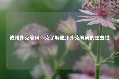 德州扑克筹码 14克了解德州扑克筹码的重要性
