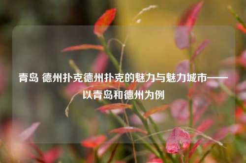青岛 德州扑克德州扑克的魅力与魅力城市——以青岛和德州为例