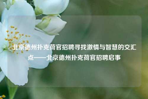 北京德州扑克荷官招聘寻找激情与智慧的交汇点——北京德州扑克荷官招聘启事