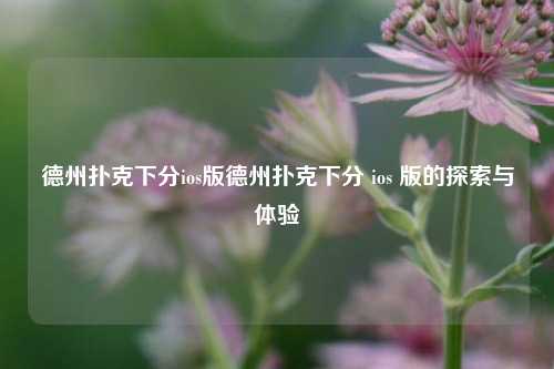 德州扑克下分ios版德州扑克下分 ios 版的探索与体验