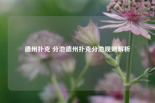 德州扑克 分池德州扑克分池规则解析