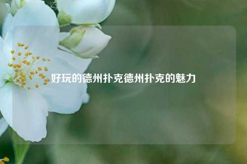 好玩的德州扑克德州扑克的魅力