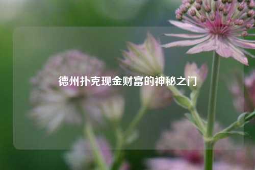 德州扑克现金财富的神秘之门