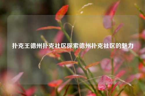 扑克王德州扑克社区探索德州扑克社区的魅力