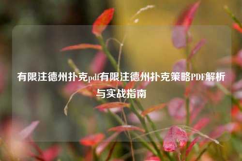 有限注德州扑克pdf有限注德州扑克策略PDF解析与实战指南