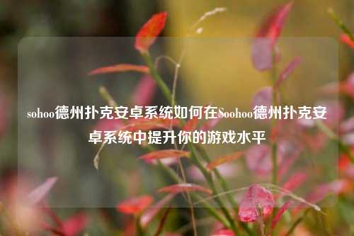sohoo德州扑克安卓系统如何在Soohoo德州扑克安卓系统中提升你的游戏水平