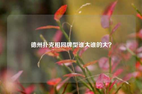 德州扑克相同牌型谁大谁的大？