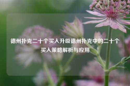 德州扑克二十个买入升级德州扑克中的二十个买入策略解析与应用