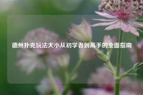 德州扑克玩法大小从初学者到高手的全面指南