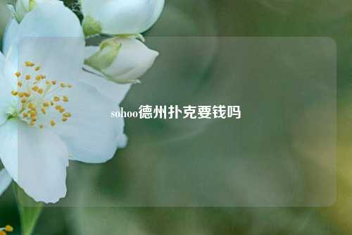 sohoo德州扑克要钱吗