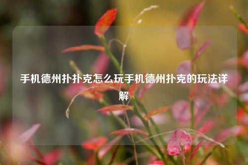 手机德州扑扑克怎么玩手机德州扑克的玩法详解