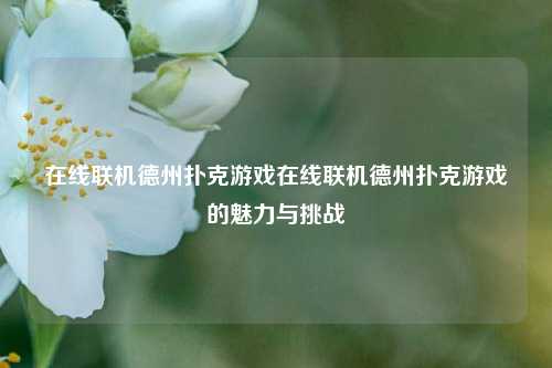 在线联机德州扑克游戏在线联机德州扑克游戏的魅力与挑战