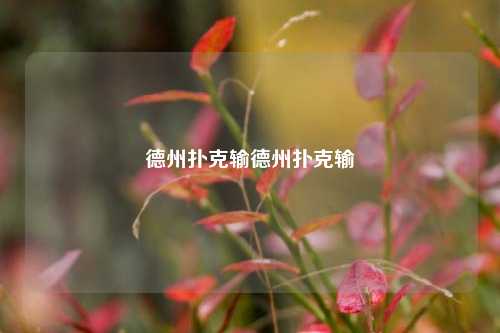 德州扑克输德州扑克输