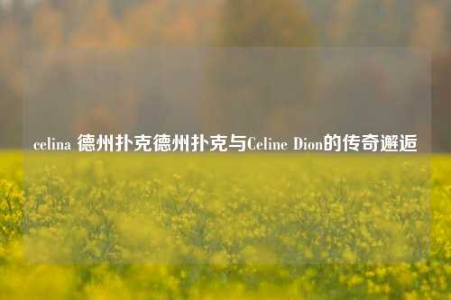 celina 德州扑克德州扑克与Celine Dion的传奇邂逅
