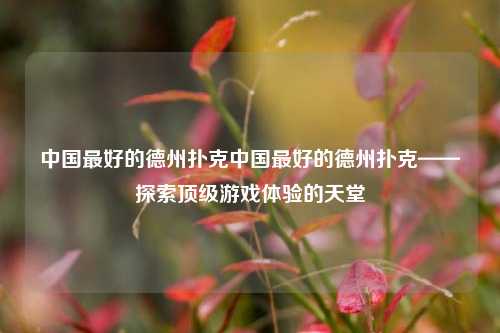 中国最好的德州扑克中国最好的德州扑克——探索顶级游戏体验的天堂
