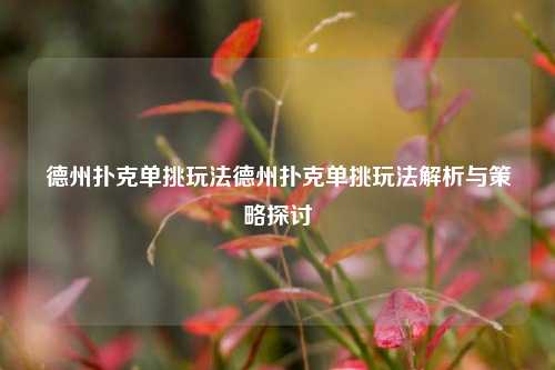 德州扑克单挑玩法德州扑克单挑玩法解析与策略探讨