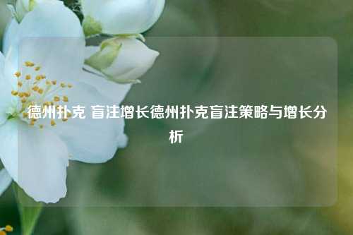 德州扑克 盲注增长德州扑克盲注策略与增长分析