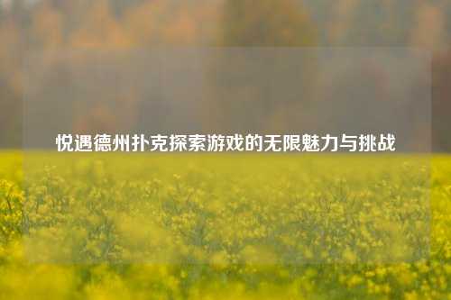 悦遇德州扑克探索游戏的无限魅力与挑战