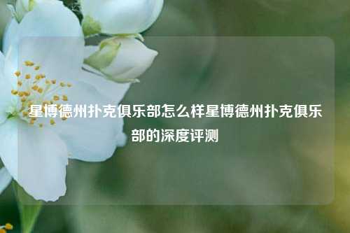 星博德州扑克俱乐部怎么样星博德州扑克俱乐部的深度评测