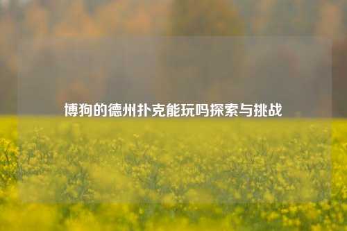 博狗的德州扑克能玩吗探索与挑战