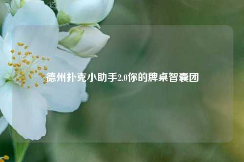 德州扑克小助手2.0你的牌桌智囊团