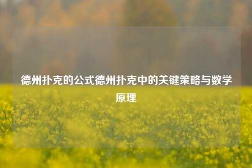 德州扑克的公式德州扑克中的关键策略与数学原理