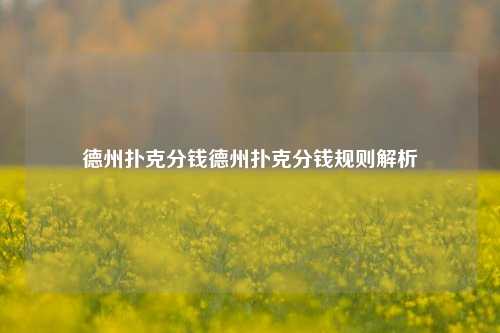 德州扑克分钱德州扑克分钱规则解析