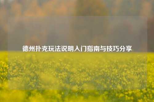德州扑克玩法说明入门指南与技巧分享