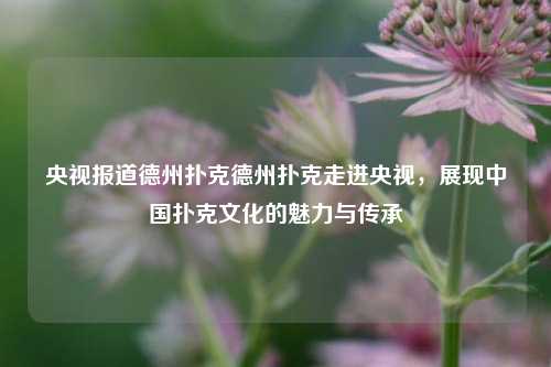 央视报道德州扑克德州扑克走进央视，展现中国扑克文化的魅力与传承