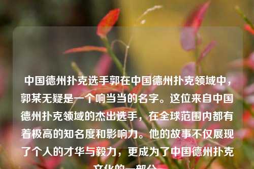 中国德州扑克选手郭在中国德州扑克领域中，郭某无疑是一个响当当的名字。这位来自中国德州扑克领域的杰出选手，在全球范围内都有着极高的知名度和影响力。他的故事不仅展现了个人的才华与毅力，更成为了中国德州扑克文化的一部分。