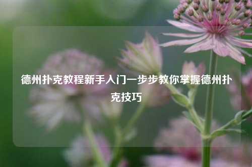 德州扑克教程新手入门一步步教你掌握德州扑克技巧