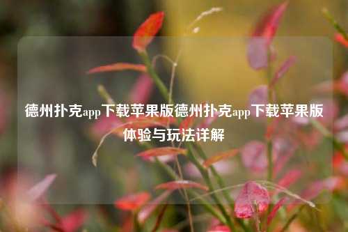 德州扑克app下载苹果版德州扑克app下载苹果版体验与玩法详解
