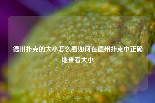 德州扑克的大小怎么看如何在德州扑克中正确地查看大小