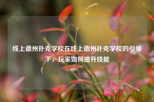 线上德州扑克学校在线上德州扑克学校的引领下，玩家如何提升技能