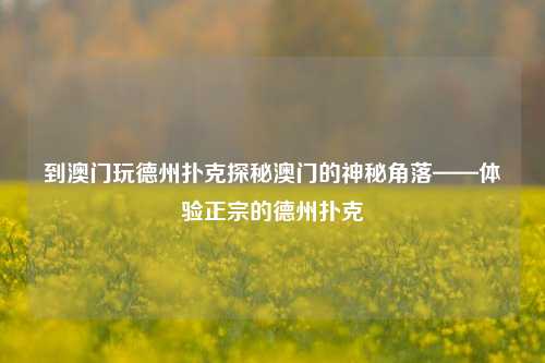 到澳门玩德州扑克探秘澳门的神秘角落——体验正宗的德州扑克
