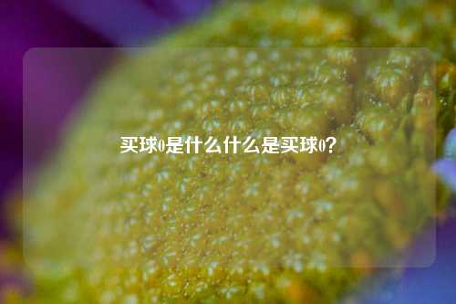 买球0是什么什么是买球0？