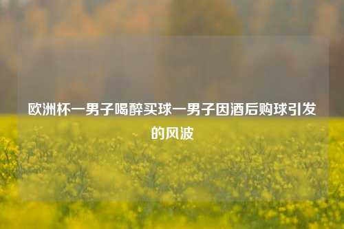 欧洲杯一男子喝醉买球一男子因酒后购球引发的风波