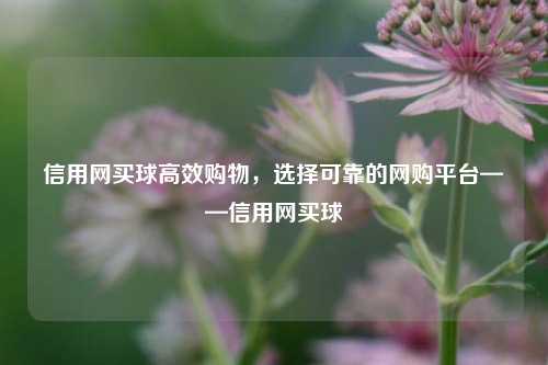 信用网买球高效购物，选择可靠的网购平台——信用网买球