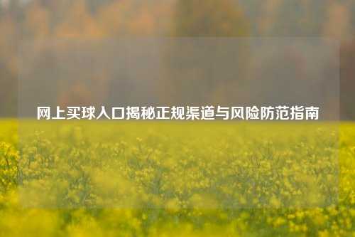 网上买球入口揭秘正规渠道与风险防范指南