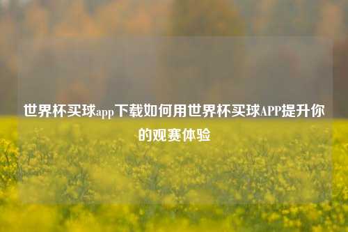 世界杯买球app下载如何用世界杯买球APP提升你的观赛体验