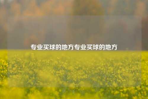 专业买球的地方专业买球的地方
