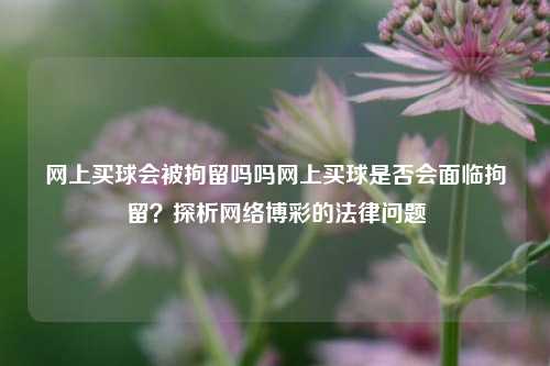 网上买球会被拘留吗吗网上买球是否会面临拘留？探析网络博彩的法律问题