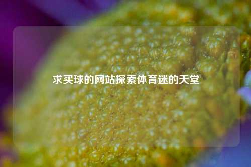 求买球的网站探索体育迷的天堂
