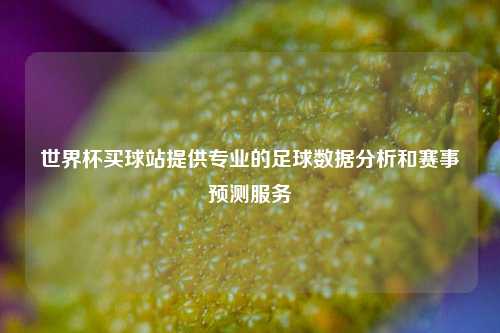 世界杯买球站提供专业的足球数据分析和赛事预测服务
