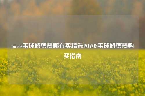 povos毛球修剪器哪有买精选POVOS毛球修剪器购买指南