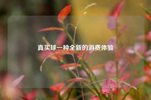 真买球一种全新的消费体验