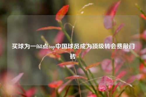 买球为一f68点top中国球员成为顶级转会费敲门砖