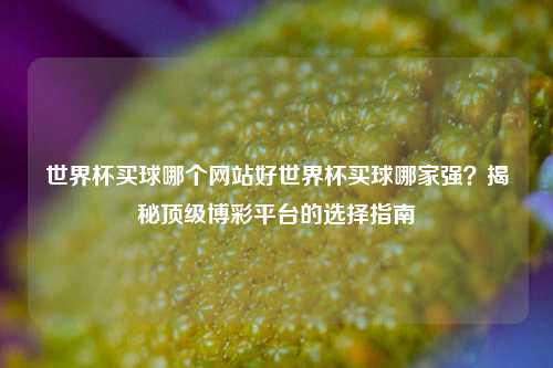 世界杯买球哪个网站好世界杯买球哪家强？揭秘顶级博彩平台的选择指南