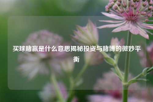 买球赌赢是什么意思揭秘投资与赌博的微妙平衡