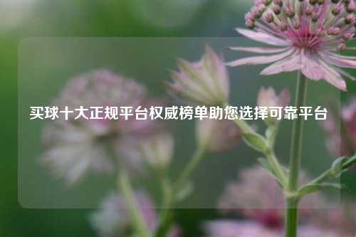 买球十大正规平台权威榜单助您选择可靠平台